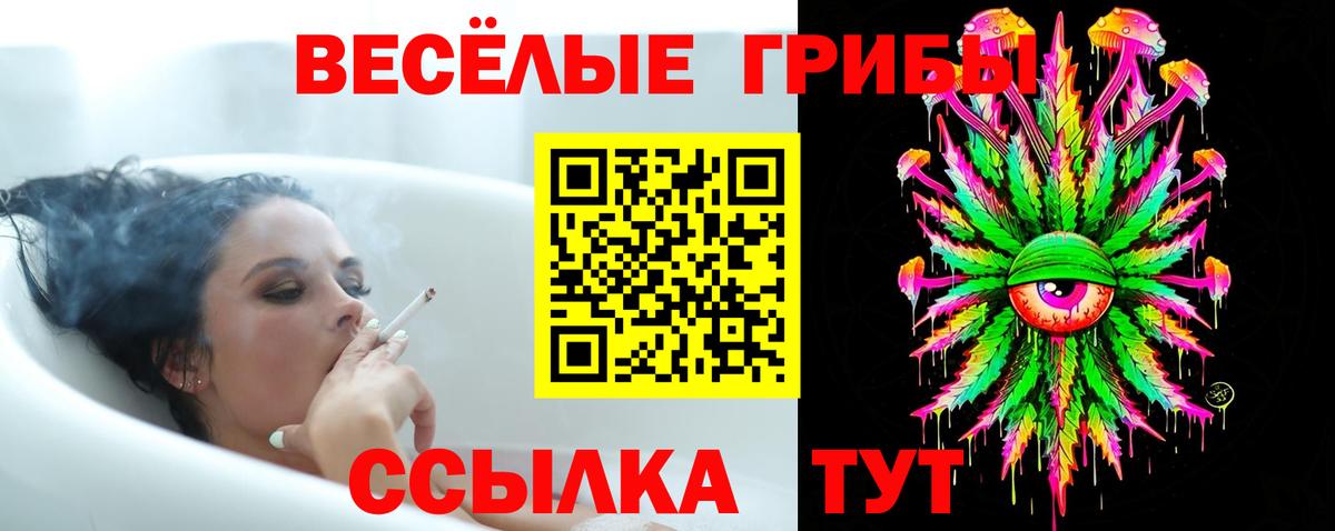 Протвино  Псилоцибиновые грибы MAGIC MUSHROOMS  Вход с VPN 
